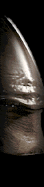 Alien 3 alien