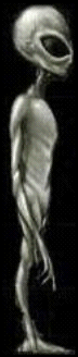 Standing Alien